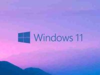 win11桌面假死鼠标能动解决方法？win11桌面假死鼠标能动详解-路由网