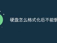 硬盘怎么格式化后不能恢复-路由网