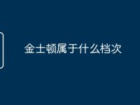 金士顿属于什么档次-路由网