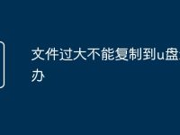 文件过大不能复制到u盘怎么办-路由网