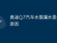 奥迪Q7汽车水泵漏水是什么原因-路由网
