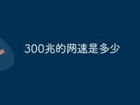 300兆的网速是多少-路由网
