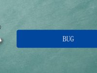 bug什么意思-路由网