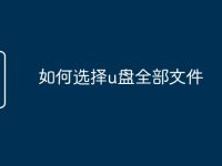 如何选择u盘全部文件-路由网