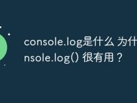 console.log是什么 为什么console.log() 很有用?-路由网