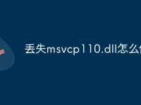 丢失msvcp110.dll怎么修复-路由网