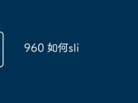 960 如何sli-路由网