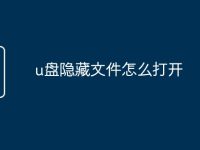 u盘隐藏文件怎么打开-路由网