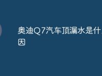 奥迪Q7汽车顶漏水是什么原因-路由网