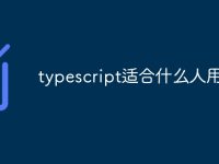 typescript适合什么人用-路由网