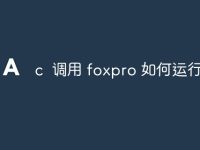c 调用 foxpro 如何运行命令-路由网