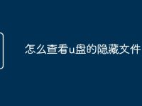 怎么查看u盘的隐藏文件-路由网