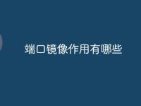 端口镜像作用有哪些-路由网
