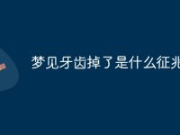 梦见牙齿掉了是什么征兆-路由网