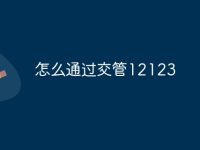 怎么通过交管12123-路由网