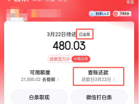 【2025】京东白条可以申请延期还款吗?4个步骤图!另有三大延期方法-路由网