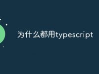 为什么都用typescript-路由网