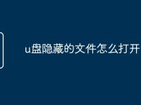 u盘隐藏的文件怎么打开-路由网
