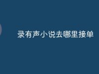 录有声小说去哪里接单-路由网
