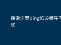 搜索引擎bing的关键字有哪些-路由网