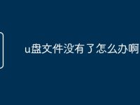 u盘文件没有了怎么办啊-路由网