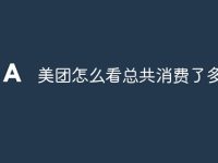 美团怎么看总共消费了多少-路由网
