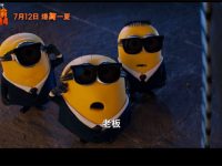 神偷奶爸4什么时候上映-路由网