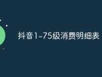 抖音1-75级消费明细表-路由网