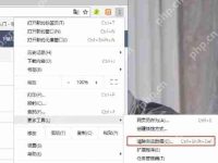 谷歌浏览器如何清除浏览器文本框候选项-路由网