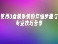 使用U盘装系统的详细步骤与专业技巧分享-路由网