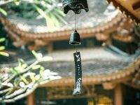 风声鹤唳的意思是什么-路由网