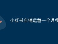 小红书店铺运营一个月多少钱-路由网