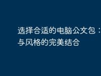 选择合适的电脑公文包:功能与风格的完美结合-路由网