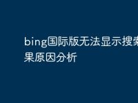 bing国际版无法显示搜索结果原因分析-路由网