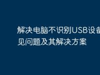 解决电脑不识别USB设备的常见问题及其解决方案-路由网