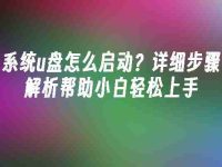 系统u盘怎么启动？详细步骤解析帮助小白轻松上手-路由网