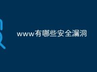 www有哪些安全漏洞-路由网