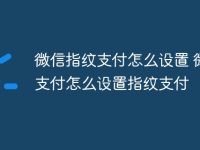 微信指纹支付怎么设置 微信支付怎么设置指纹支付-路由网