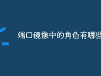 端口镜像中的角色有哪些-路由网