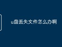u盘丢失文件怎么办啊-路由网
