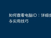 如何查看电脑ID：详细步骤与实用技巧-路由网