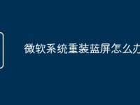 微软系统重装蓝屏怎么办-路由网