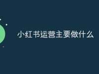 小红书运营主要做什么-路由网
