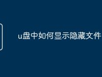 u盘中如何显示隐藏文件-路由网