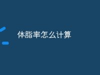 体脂率怎么计算-路由网