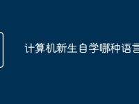 计算机新生自学哪种语言好-路由网