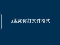 u盘如何打文件格式-路由网
