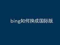 bing如何换成国际版-路由网