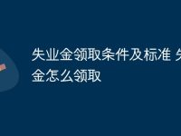 失业金领取条件及标准 失业金怎么领取-路由网