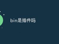 bin是插件吗-路由网